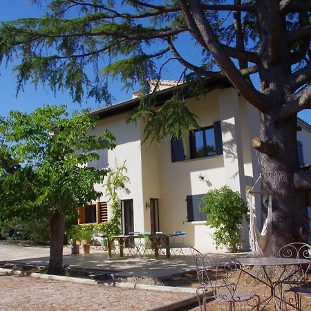 Le Grand Cedre - 2 Chambres D'Hotes - Sud Ardeche Bourg-Saint-Andeol Exterior photo