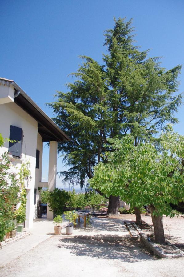 Le Grand Cedre - 2 Chambres D'Hotes - Sud Ardeche Bourg-Saint-Andeol Exterior photo